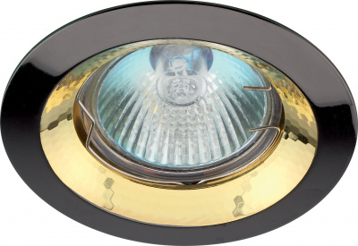 ЭРА Светильник литой пов. тарелка MR16,12V/220V, 50W черный металл/золото (100/1400) (C0043726) ЭРА Светильник литой пов. тарелка MR16,12V/220V, 50W черный металл/золото (100/1400) (C0043726)