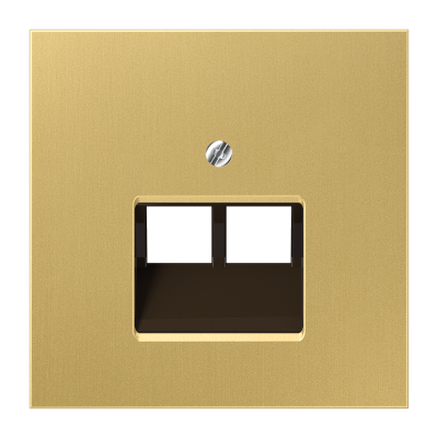 JUNG Накладка для 2-ой телефонной/компютерной розетки IAE/UAE (1 x 8-пол.) Серия LS990 Материал- мета (ME2969-2UAC) JUNG Накладка для 2-ой телефонной/компютерной розетки IAE/UAE (1 x 8-пол.) Серия LS990 Материал- мета (ME2969-2UAC)