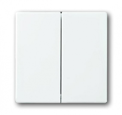 ABB SOLO/FUTURE Клавиша 2шт davos/альпийский белый (1785-84-500) (2CKA001751A3076) ABB SOLO/FUTURE Клавиша 2шт davos/альпийский белый (1785-84-500) (2CKA001751A3076)