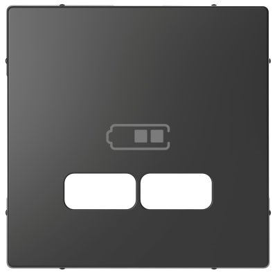 SCHNEIDER ELECTRIC Накладка центральная MERTEN D-Life для USB механизма 2.1А антрацит (MTN4367-6034) SCHNEIDER ELECTRIC Накладка центральная MERTEN D-Life для USB механизма 2.1А антрацит (MTN4367-6034)