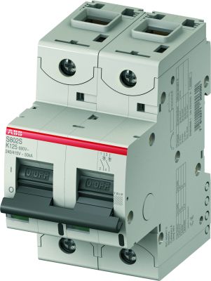 ABB Выключатель автоматический двухполюсный 125А S802S-UCK125 (S802S-UCK125) (2CCS862001R1647) ABB Выключатель автоматический двухполюсный 125А S802S-UCK125 (S802S-UCK125) (2CCS862001R1647)