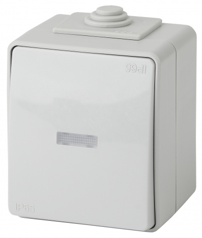 ЭРА Выключатель с подсветкой IP65, 10АХ-250В, ОУ, Эксперт, серый,11-1602-03 (Б0035974) ЭРА Выключатель с подсветкой IP65, 10АХ-250В, ОУ, Эксперт, серый,11-1602-03 (Б0035974)