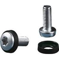 ABB Винт Torx М6 с шайбой (20шт.) (EV0104) ABB Винт Torx М6 с шайбой (20шт.) (EV0104)