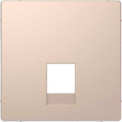 SCHNEIDER ELECTRIC Накладка центральная D-Life для розетки двойной RJ11/RJ12 шампань SD (MTN4215-6051) SCHNEIDER ELECTRIC Накладка центральная D-Life для розетки двойной RJ11/RJ12 шампань SD (MTN4215-6051)