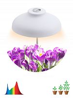 ЭРА Светильник для цветочных горшков FITO-12W-FLED  (Б0039068)