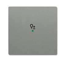 ABB Клавиша одинарная free@home светорегулятор future цвет meteor/серый металлик (6220-0-0554)