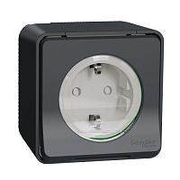 SCHNEIDER ELECTRIC MUREVA S розетка с з/к. и шт., открытой установки, антрацит,IP55 (MUR36034)