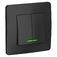 SCHNEIDER ELECTRIC BLANCA скрытой установки двухклавишный выключатель  (cх.5) с подсв., 10A, 250B, антрацит (BLNVS010516)
