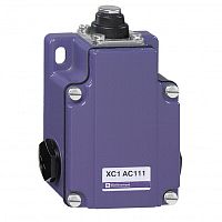 SCHNEIDER ELECTRIC Выключатель концевой XC1AC металлический плунжер (XC1AC111)