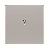 ABB SRL-1-85PL Клавиша одинарная free@home, SKY, освещение, серебристая  (SRL-1-85PL)  (2CLA852626A1301)