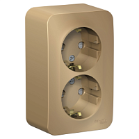 SCHNEIDER ELECTRIC BLANCA Розетка наружная двойная с заземлением со шторками, 16А, 250В, титан (BLNRA011204)