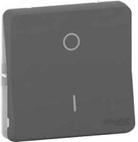 SCHNEIDER ELECTRIC MUREVA S переключатель 2-полюсный, механизм, антрацит, IP55 (MUR35034)
