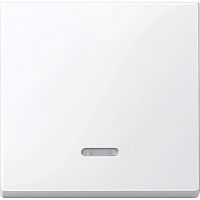 SCHNEIDER ELECTRIC Клавиша с окошком для светоиндикатора белый (MTN436025)