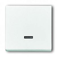 ABB SOLO Клавиша для светорегулятора 6550 U-10x/6560 U-101/6593 U реле 6401 U-10x/6402 U davos/альпийский белый  (6543-84-101-500)  (2CKA006599A3010)