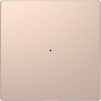 SCHNEIDER ELECTRIC Клавиша D-Life PlusLink 1-ная без символов шампань SD (MTN5210-6051)