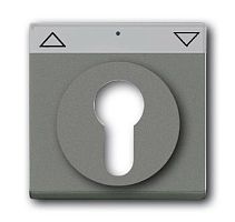 ABB SOLO/FUTURE Накладка для выключателя с замком метеор/серый металлик (1710-0-3841)