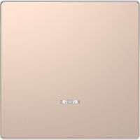 SCHNEIDER ELECTRIC Клавиша одинарная D-Life с линзой для LED модуля шампань SD (MTN3320-6051)