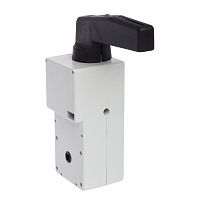 LEGRAND Ручка поворотная SPX-D160 (605120 )