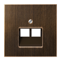 JUNG Накладка для 2-ой телефонной/компютерной розетки  IAE/UAE  (1 x 8-пол.)  Серия LS990  Материал- мета (ME2969-2UAAT)