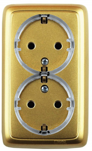HEGEL Розетка двойная наружная с заземлением с шторками с изолирующей пластиной  (стакан) золото (РА16-184-07)