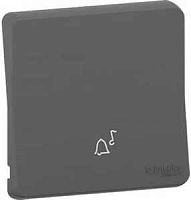 SCHNEIDER ELECTRIC MUREVA S клавиша с символом звонок, антрацит, IP55 (MUR34201)