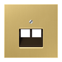 JUNG Накладка для 2-ой телефонной/компютерной розетки  IAE/UAE  (1 x 8-пол.)  Серия LS990  Материал- мета (ME2969-2UAC)