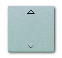 ABB SOLO/FUTURE Клавиша для выключателя Буш-Жалюзиконтроль 6411U-101/6411U/S-101/6418/реле 6402U алюминий  (6430-83-102)  (2CKA006430A0328)
