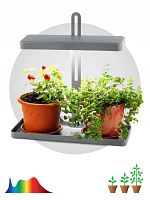 ЭРА Светильник светодиодный для выращивания растений FITO-20W-QLED-G  (Б0039035)