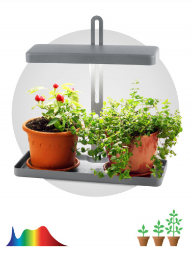 ЭРА Светильник светодиодный для выращивания растений FITO-20W-QLED-G  (Б0039035)