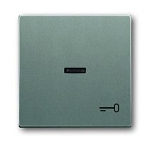 ABB SOLO/FUTURE Клавиша с прозрачной линзой и символом Ключ метеор/серый металлик (1751-0-3016)