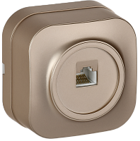 IEK GLORY Розетка для открытой установки компьютерная RJ45 кат.5E РК10-ХШм шампань матовый  (EKH10-K37M)
