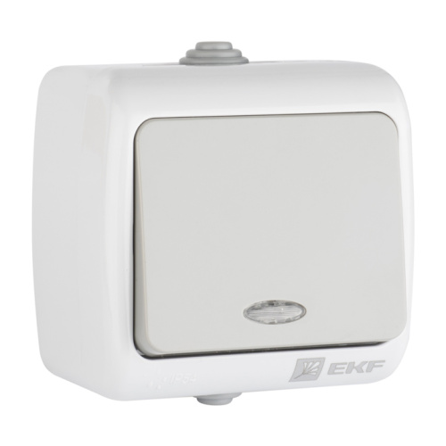 EKF Выключатель 1-клавишный с индикатором 10А Мурманск серый (EFV10-121-30-54)