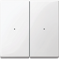 SCHNEIDER ELECTRIC SM Клавиша для модуля двухкнопочного выключателя полярный белый (MTN619219)