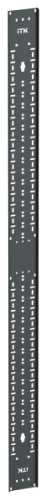 IEK Органайзер кабельный вертикальный 42U черный LINEAS (LS-CO05-42U-V)