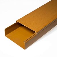 ПРОМРУКАВ Кабель-канал бук 2-й замок 100х40 (24м/уп) ПРОМРУКАВ  (25446)