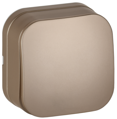 IEK GLORY Выключатель 1-клавишный для открытой установки 10А ВС20-1-0-ХШм шампань матовый  (EVH10-K37M-10)