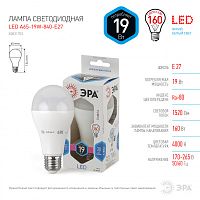 ЭРА Лампа светодиодная LEDA65-19W-840-E27 (диод,груша,19Вт,нейтр,E27) (Б0031703)