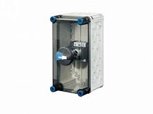 HENSEL Бокс с ВН и клемм PE-N 63А 150х300х217 (20001127)