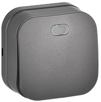 IEK GLORY Выключатель 1-клавишный для открытой установки с индикацией 10А ВС20-1-1-ХСм сталь матовый  (EVH11-K46M-10)