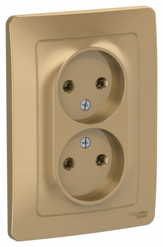 SCHNEIDER ELECTRIC BLANCA скрытой установки розетка двойная без заземления без шторок, 16А, 250В, титан (BLNRS000024)