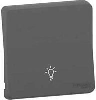 SCHNEIDER ELECTRIC MUREVA S клавиша с символом свет , антрацит,IP55 (MUR34202)