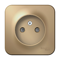 SCHNEIDER ELECTRIC BLANCA  розетка наружная  без заземления со шторками, 16А, 250В, титан (BLNRA001104)