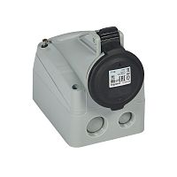 LEGRAND Розетка накладная 16А 3К+З 500В IP44 (555162 )