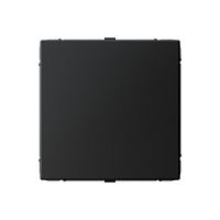 Systeme Electric ARTGALLERY заглушка без суппорта для многопостовых рамок, карбон (GAL001009)