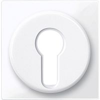 SCHNEIDER ELECTRIC Центральная плата для переключателя с фиксатором белый (MTN319525)