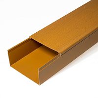 ПРОМРУКАВ Кабель-канал бук 2-й замок 80х60 (18м/уп) ПРОМРУКАВ  (025445)