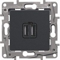 LEGRAND Зарядное устройство с двумя USB-разьемами тип C-тип С 240В/5В 3000мА - Etika - Цвет Антрацит (672635 )