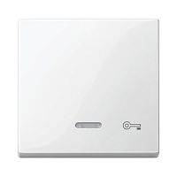 SCHNEIDER ELECTRIC Клавиша с окошком для светоиндикатора КЛЮЧ белый (MTN435319)
