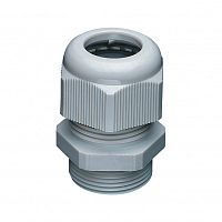 SCHNEIDER ELECTRIC Сальник XSZPE13 для инд. датч (XSZPE13)