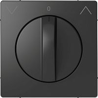 SCHNEIDER ELECTRIC Накладка центральная D-Life для поворотного механизма рольставней антрацит SD (MTN3875-6034)